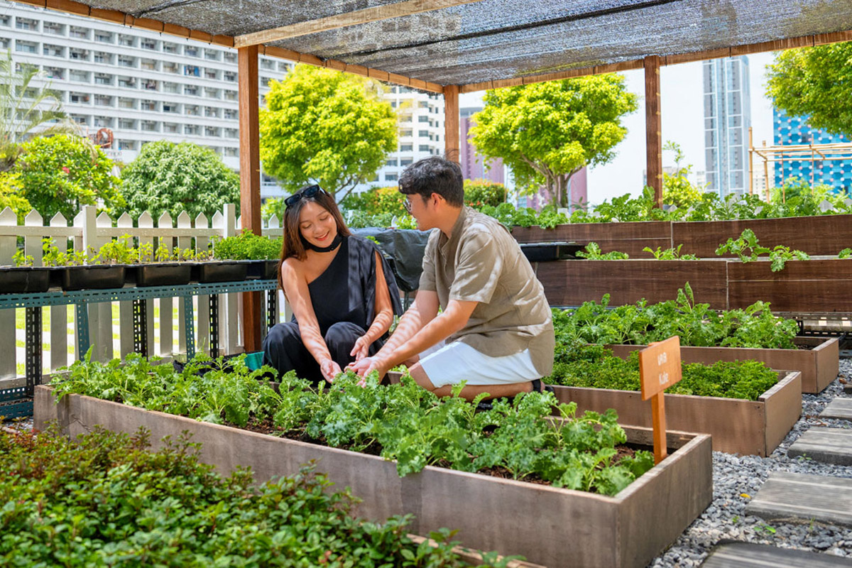 Steps Towards a Greener Future - 曼谷阿玛瑞酒店 (Amari Bangkok)