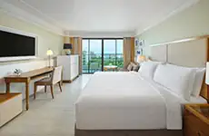 豪华临海客房